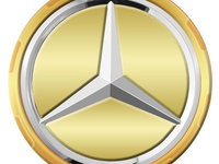 Capac Janta Oe Mercedes-Benz Amg Gold A00040009001190