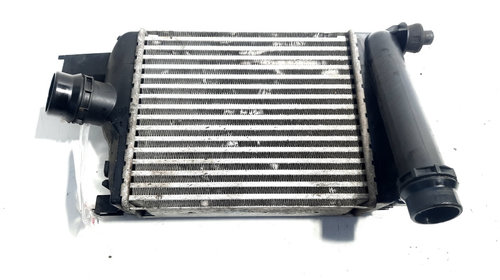 Radiator intercooler, cod 144965154R, Dacia S